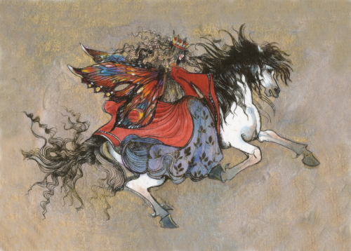 Equestrian Fairy Canvas